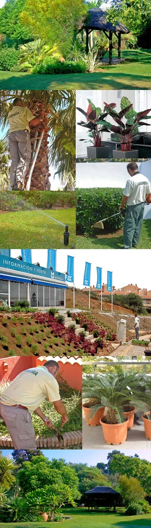 Trabajos de jardinería por el equipo de NaturLimp